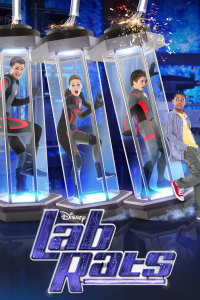 lab rats